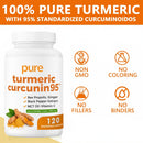 turmeric-curcumin-supplement-1000mg---95-turmeric--4.jpg
