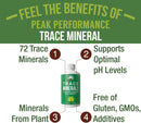 ultra-high-purity-trace-minerals-liquid-drops-for-water-ionic-plant-based-fulvic-trace-mineral-drop-supplement-magnesium-replenishes-natural-minerals-electrolytes-optimal-ph-levels-2