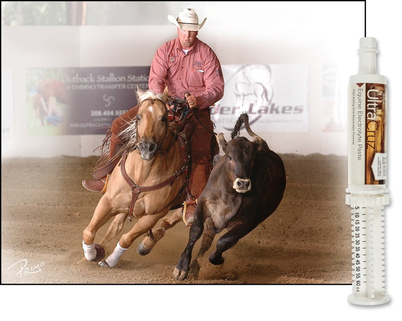 ultracruz-sc-516041-equine-electrolyte-supplement-for-horses-60-ml-paste-2