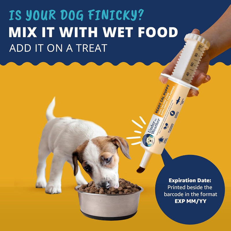 under-the-weather-pet-ready-cal-for-puppies-80cc-high-calorie-puppy-nutritional-supplement-puppy-weight-gainer-and-high-calorie-booster-10-vitamins-7-minerals-omega-fatty-acids-6