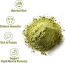 unleashd-organic-organic-pumpkin-seed-protein-powd-3.jpg