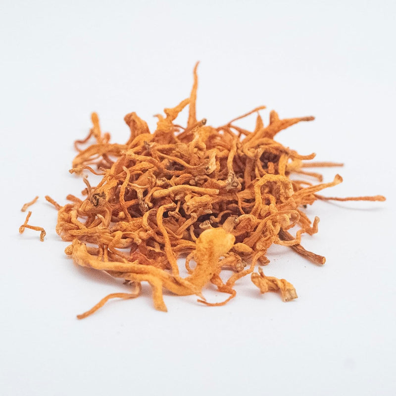 usa-grown-certified-organic-dried-cordyceps-2.jpg