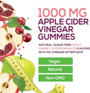 vegan-apple-cider-vinegar-gummies-1000mg---sugar-f-3.jpg
