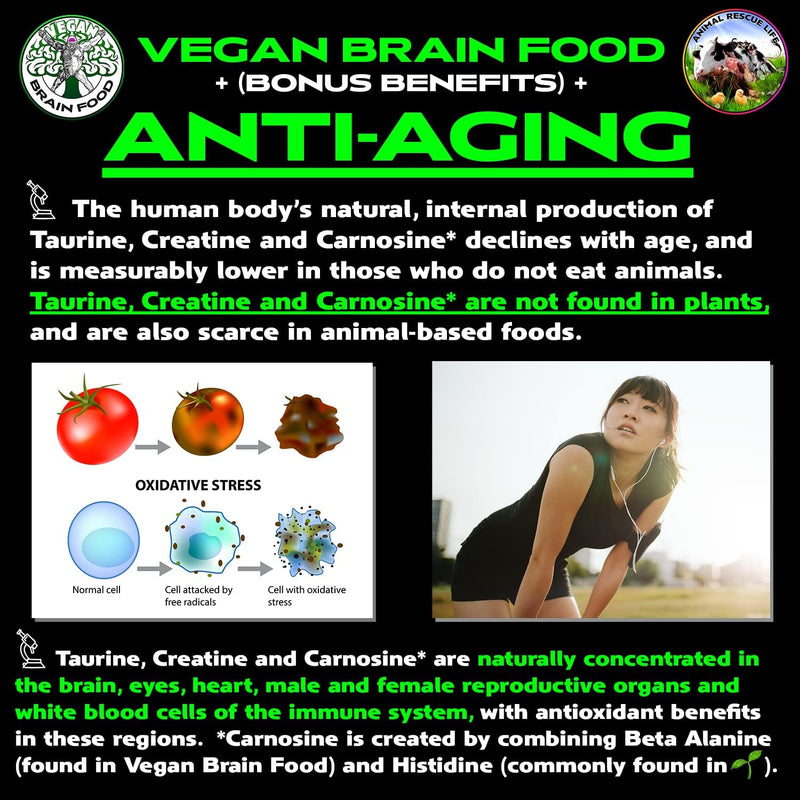 vegan-brain-body-boost-the-cherry-on-top-of-a-plan-3.jpg