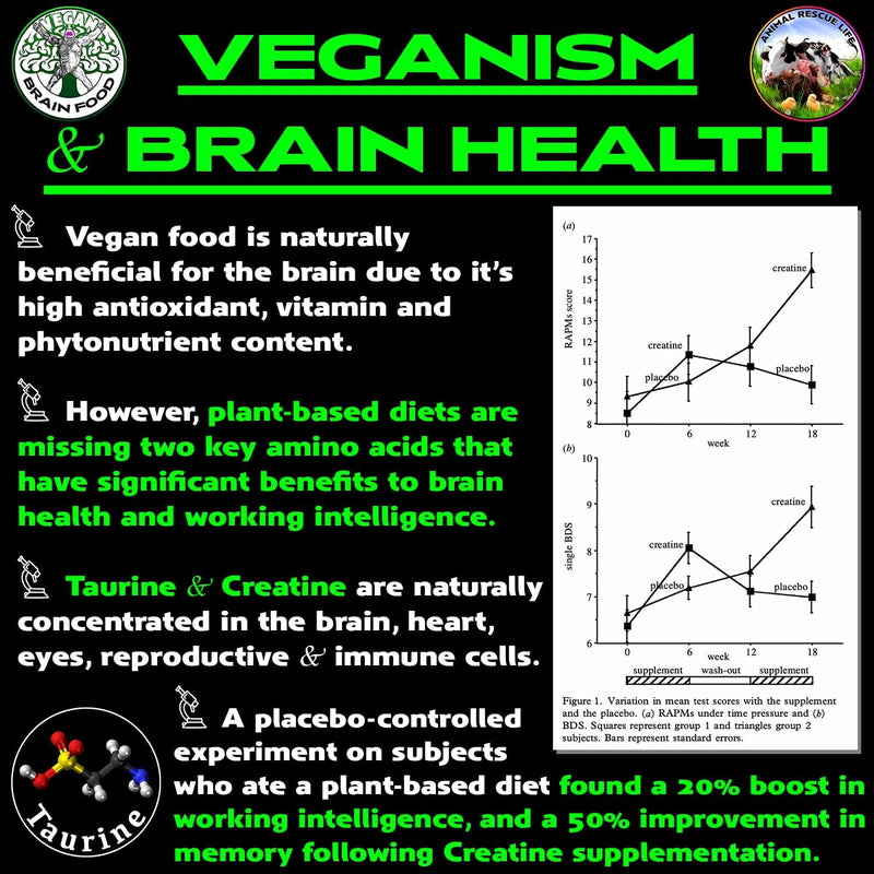 vegan-brain-body-boost-the-cherry-on-top-of-a-plan-4.jpg