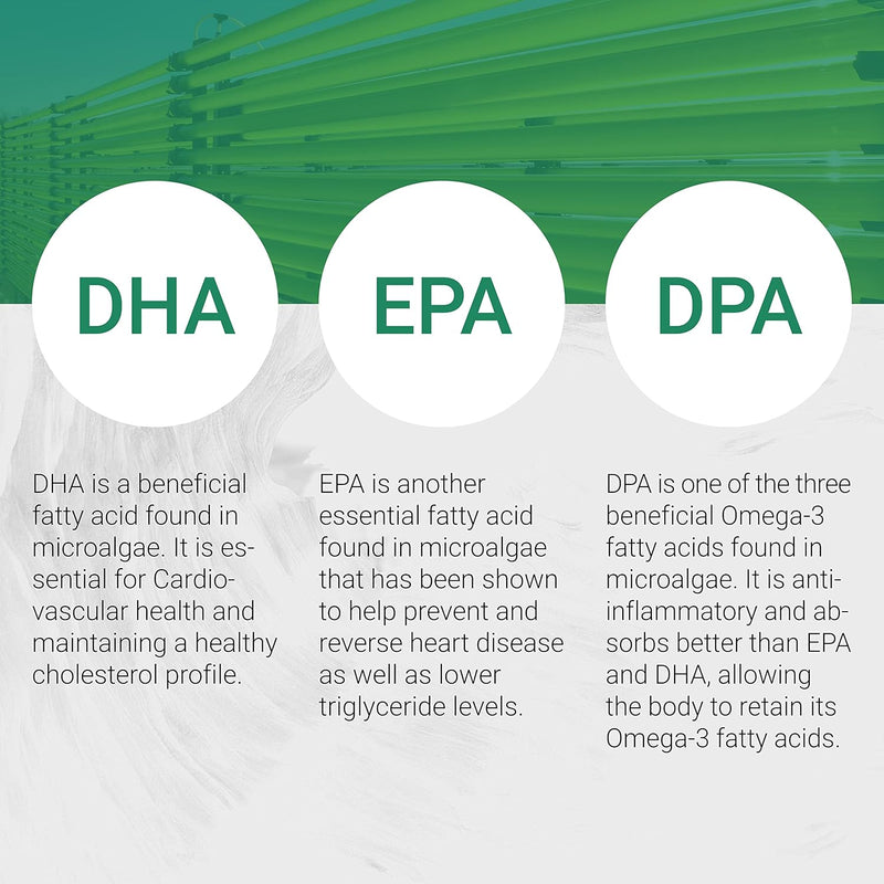 vegan-omega-3-dha-epa-dpa-from-algae-vegan-society-5.jpg
