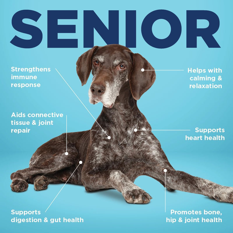 vetericyn-all-in-1-multifunctional-senior-dog-supplement-digestive-enzymes-glucosamine-chondroitin-for-hip-and-joint-support-vitamins-antioxidants-prebiotics-probiotics-and-omegas-90-count-2