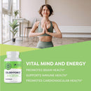 vimergy-celeryforce-nutrients-and-amino-acids-supports-your-wellness-routine-kosher-vegan-gluten-free-60-capsules-2