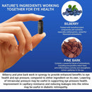 vision-defender-bp-eye-supplement-bilberry-and-pin-3.jpg