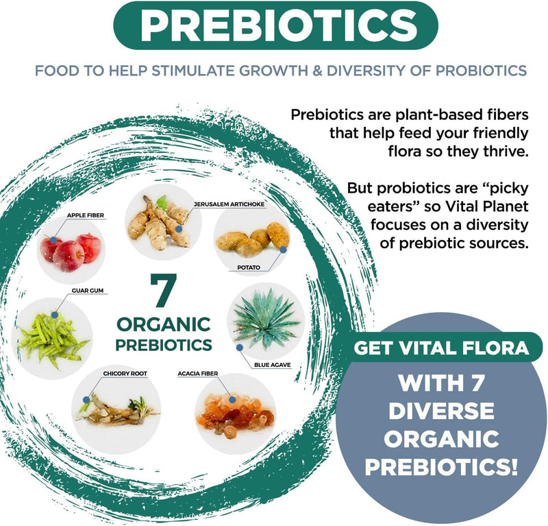 vital-planet---vital-flora-mens-daily-probiotic-60-billion-cfu-60-diverse-strains-7-organic-prebiotics-immune-support-gas-relief-digestive-health-shelf-stable-probiotics-for-men-60-capsules-3