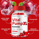 vital-pump-xl-gummies-vital-pump-xl-supplement-high-potency-max-performance-all-natural-formula-1-pack-3