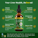 vitaliver---liver-health-supplement---support-live-1.jpg