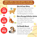 vitamins-for-dogs-chews--treats-glucosamine-chondroitin-for-joint-support-digestive-enzymes-probiotics-for-small-large-breeds-vitamins-multivitamin-for-skin-coat-immune-health-4
