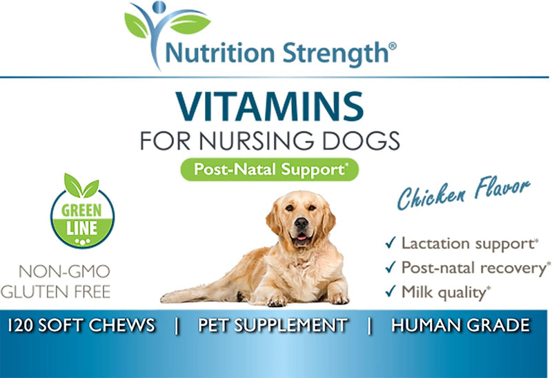 vitamins-for-nursing-dogs-to-support-lactation-and-post-natal-recovery-promote-milk-quality-and-healthy-puppies-with-calcium-phosphorus-magnesium-and-zinc-120-soft-chews-6