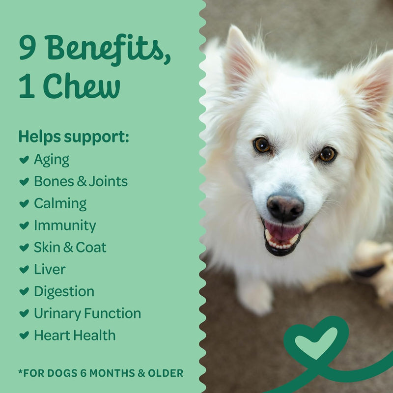 wholesome-pride-9-in-1-dog-multifunctional-soft-chews-joint-pain-relief-hip-joint-support-immune-skin-gut-heart-brain-health-glucosamine-msm-chondroitin-90-chews-2