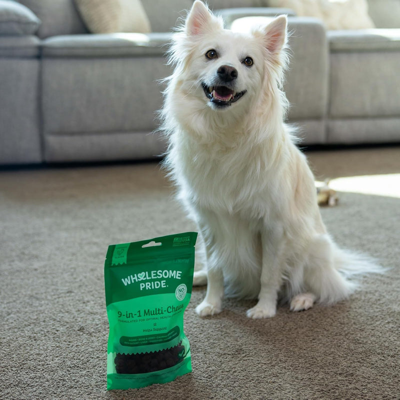 wholesome-pride-9-in-1-dog-multifunctional-soft-chews-joint-pain-relief-hip-joint-support-immune-skin-gut-heart-brain-health-glucosamine-msm-chondroitin-90-chews-6