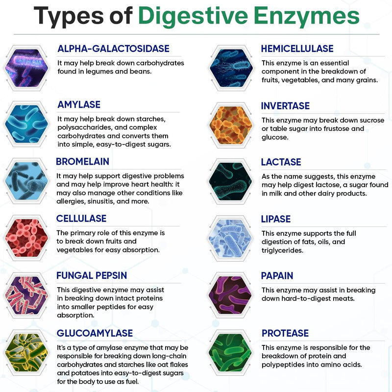wholesome-wellness-digestive-enzymes-1000mg-plus-p-5.jpg