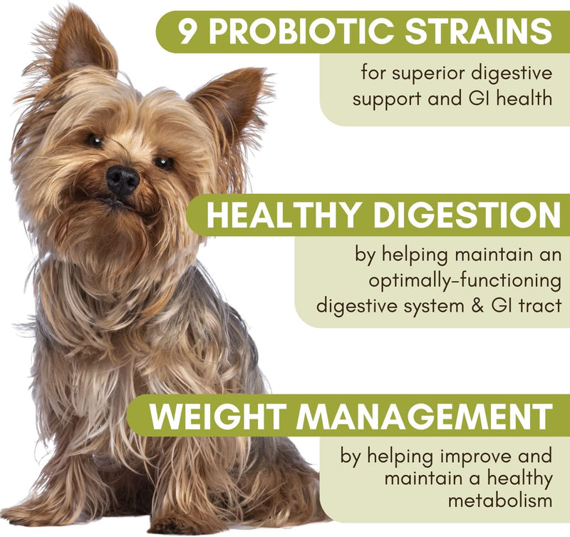wholistic-pet-organics-organic-dog-probiotics-and--2.jpg