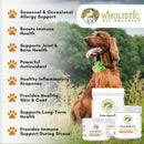 wholistic-pet-organics-pure-ester-c-powder-for-dog-3.jpg