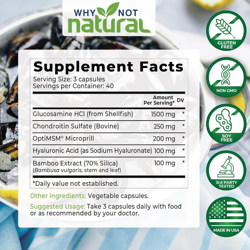 why-not-natural-glucosamine-chondroitin-msm-joint--3.jpg