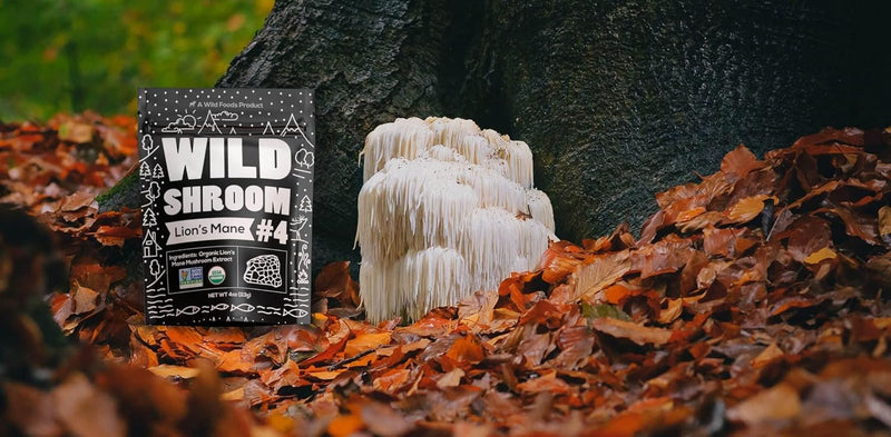 wild-foods-lions-mane-powder-mushrooms-extract-101-5.jpg