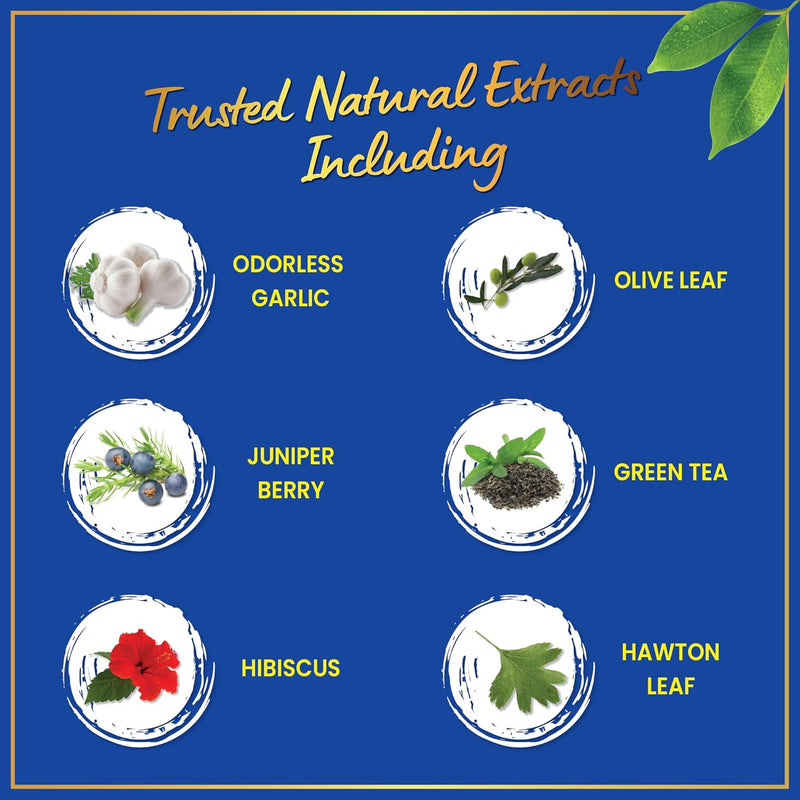 windsor-botanicals-blood-pressure-and-cholesterol--5.jpg