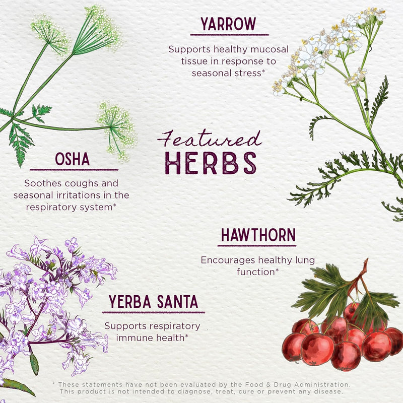 wishgarden-herbs-deep-lung-bronchial-support---nat-4.jpg