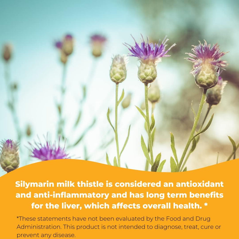 wonder-labs-silymarin-milk-thistle-supports-health-5.jpg