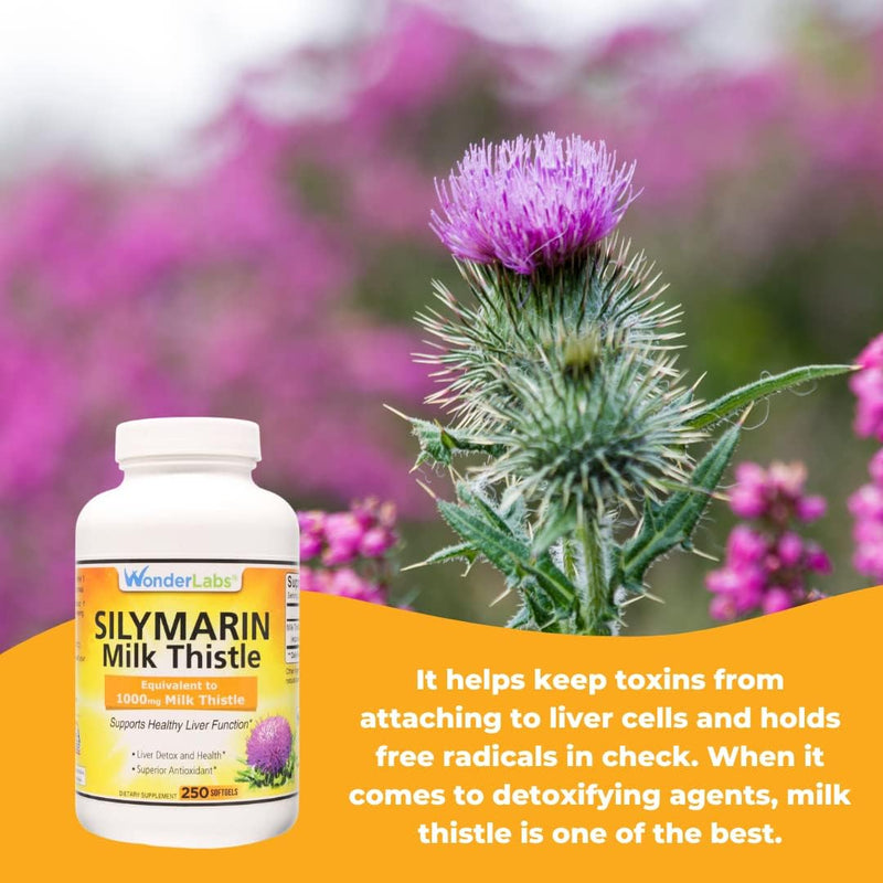 wonder-labs-silymarin-milk-thistle-supports-health-6.jpg