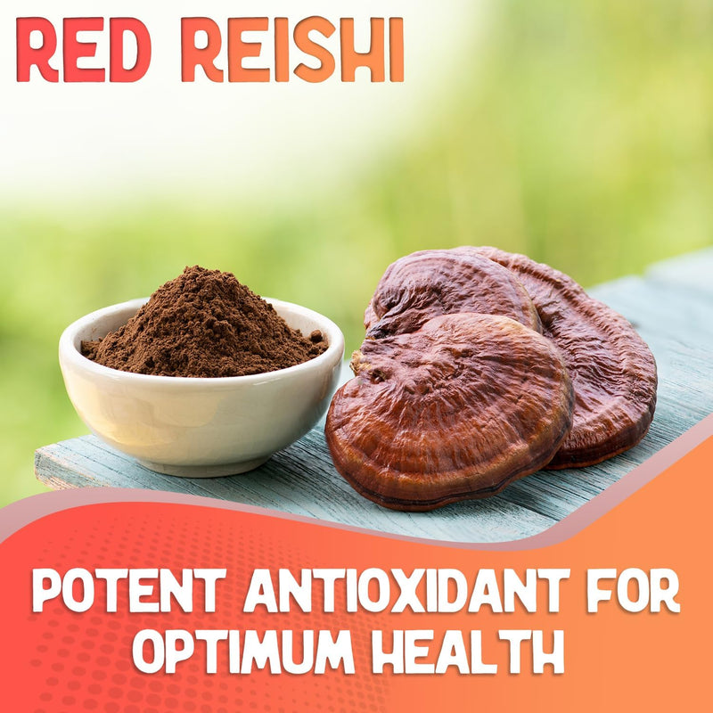 xprs-nutra-fungi-fusion-organic-mushroom-powder-bl-5.jpg