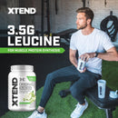 xtend-original-bcaa-powder-7g-bcaa-and-25g-l-gluta-4.jpg