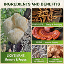 zebora-lions-mane-supplement-capsules---mushroom-supplement-with-lions-mane-cordyceps-reishi-turkey-tail-shiitake---lions-mane-mushroom-for-memory-focus-immune-support---120-vegan-capsules-4