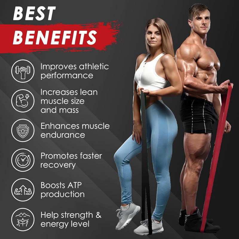 zebora-micronized-creatine-monohydrate-powder-crea-3.jpg
