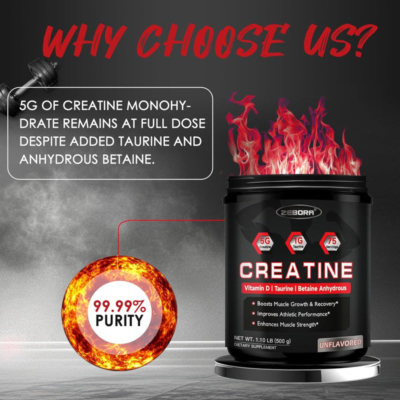 zebora-micronized-creatine-monohydrate-powder-crea-4.jpg