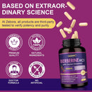 zebora-premium-berberine-hcl-1200-mg-berberine-sup-7.jpg