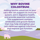 zenapet-cat-colostrum-plus-superfood-supplement-240-day-supply-bovine-colostrum-powder-cat-probiotic-for-immune-support-digestive-health-allergy-relief-joint-support-and-skincoat-health-5