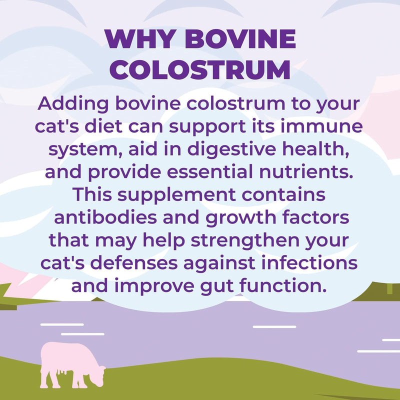 zenapet-cat-colostrum-plus-superfood-supplement-240-day-supply-bovine-colostrum-powder-cat-probiotic-for-immune-support-digestive-health-allergy-relief-joint-support-and-skincoat-health-5