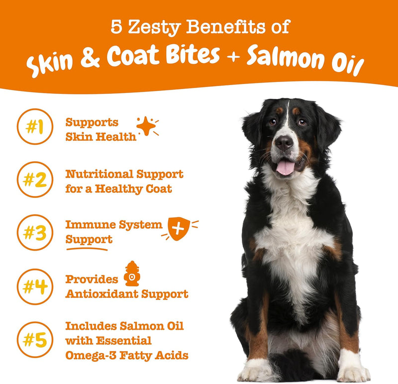 zesty-paws-salmon-oil-for-dogs-skin-and-coat-omega-3-fish-oil-chews-dog-allergy-relief-chews-itch-relief-supplement-250-count-salmon-flavor-2