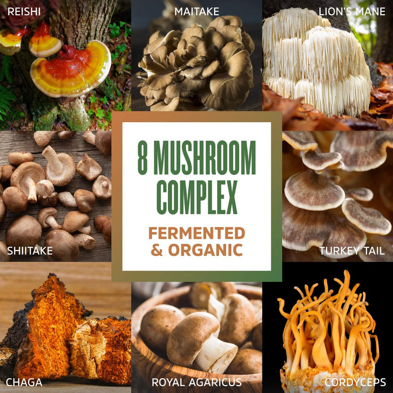zhou-nutrition-8-plex-organic-mushroom-powder-supp-4.jpg